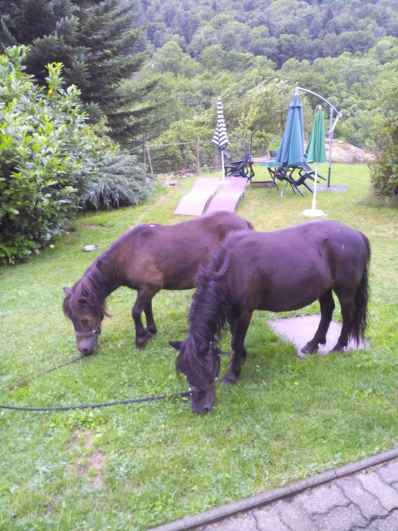 Ferme Auberge A La Colline Ferdrupt Exterior foto